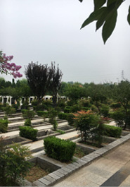 公司简介